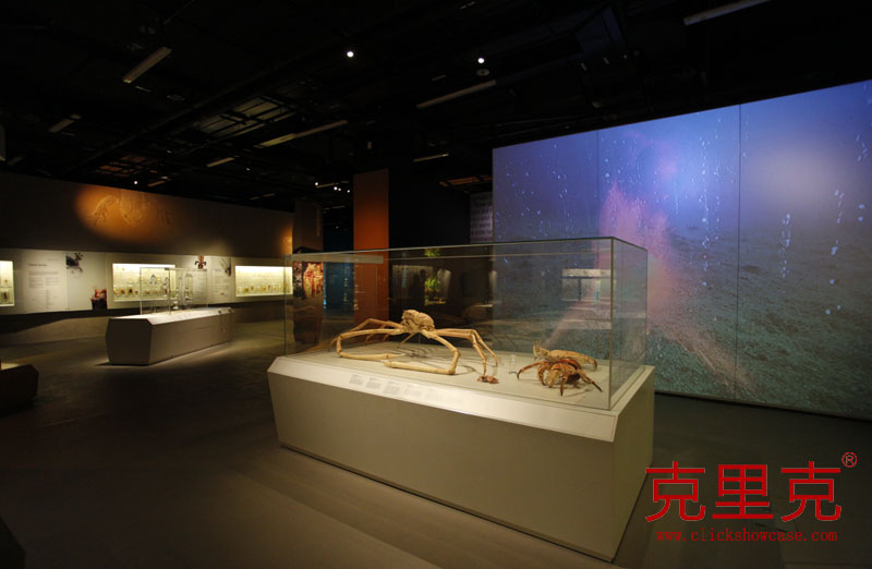 博物館桌式展柜尺寸設(shè)計標(biāo)準